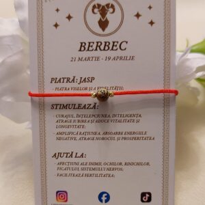 Brățară zodia Berbec cu biluțe din Aur de 14K și piatră semiprețioasă Jasp, pe șnur roșu