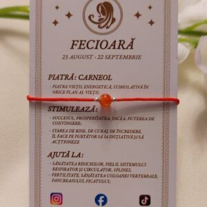 Brățară zodia Fecioară cu biluțe din Argint 925 și piatră semiprețioasă Carneol, pe șnur roșu